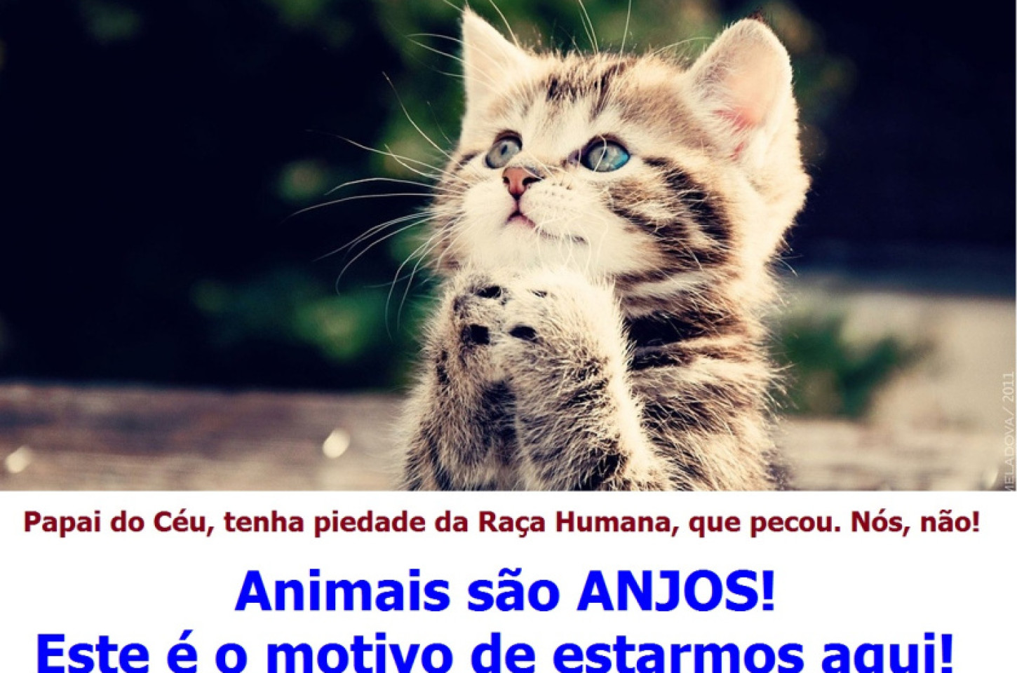 A maior obra social do Planeta Terra 