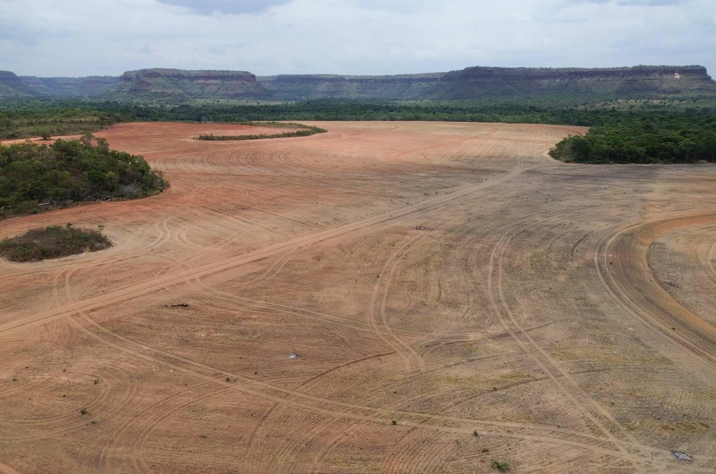 Abiove anuncia saída da Moratória da Soja após 18 anos