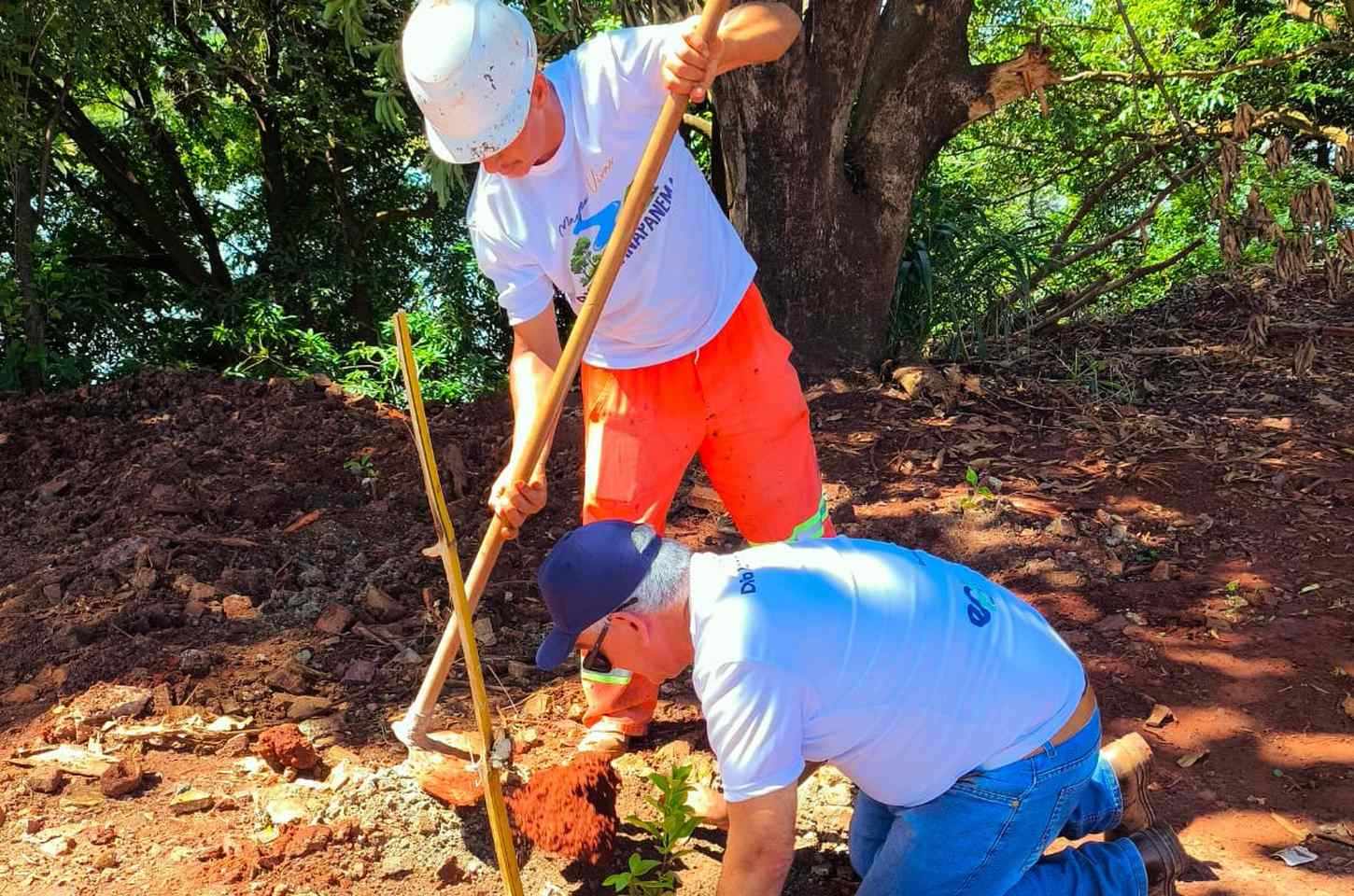 Ação ambiental planta 800 mudas nativas às margens do Rio Paranapanema
