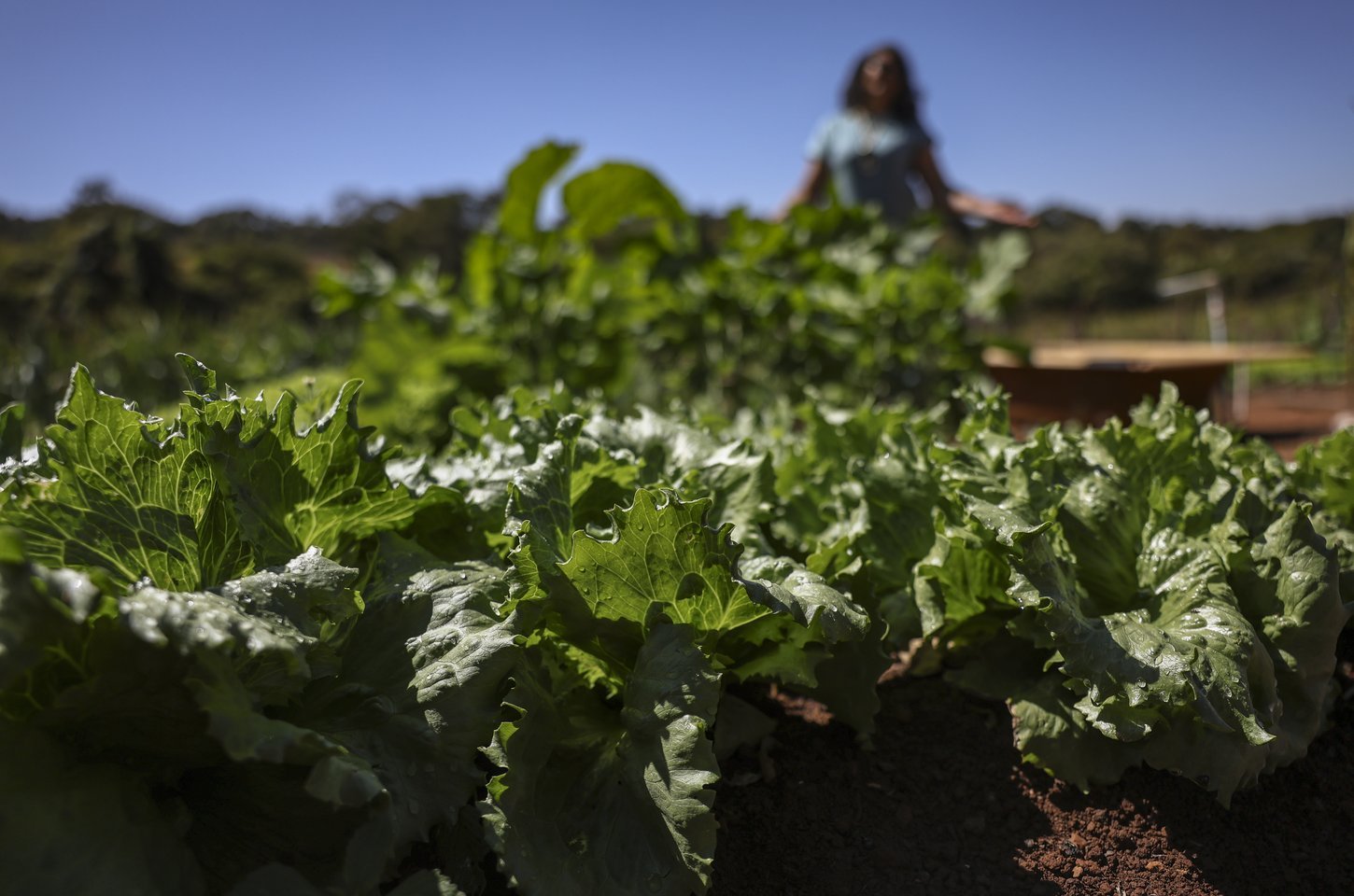 Acordo histórico encerra maior conflito fundiário do Sul do Brasil