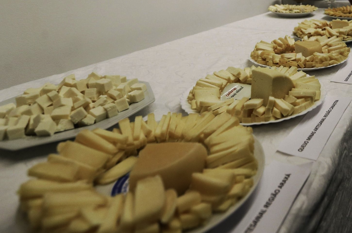 Acordo Mercosul-UE começa a valer e Brasil já importa queijo com tarifa reduzida
