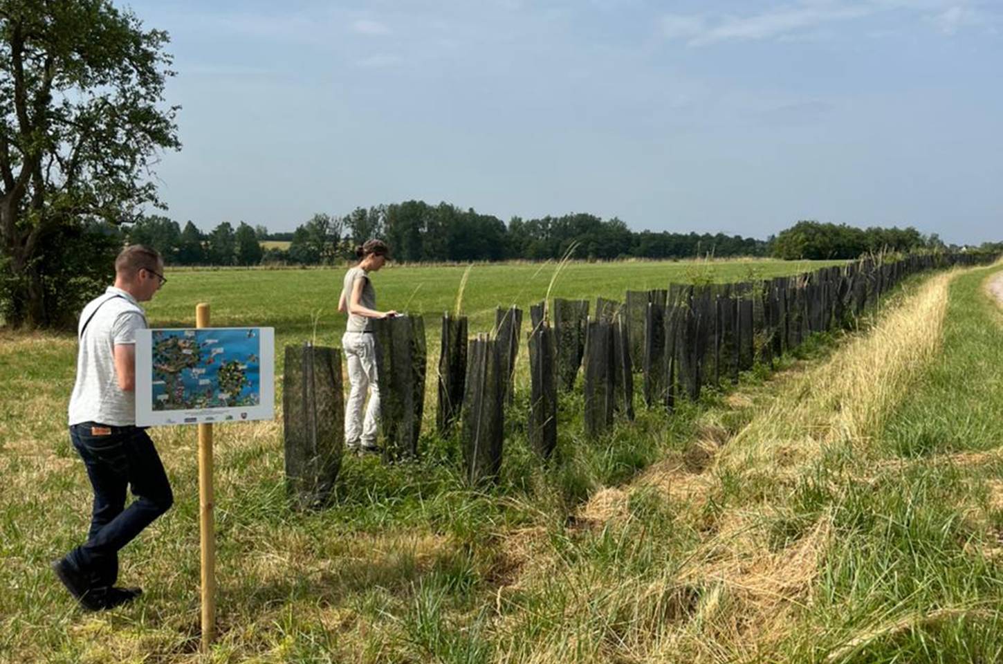 Agrofloresta une produção de alimentos e preservação ambiental