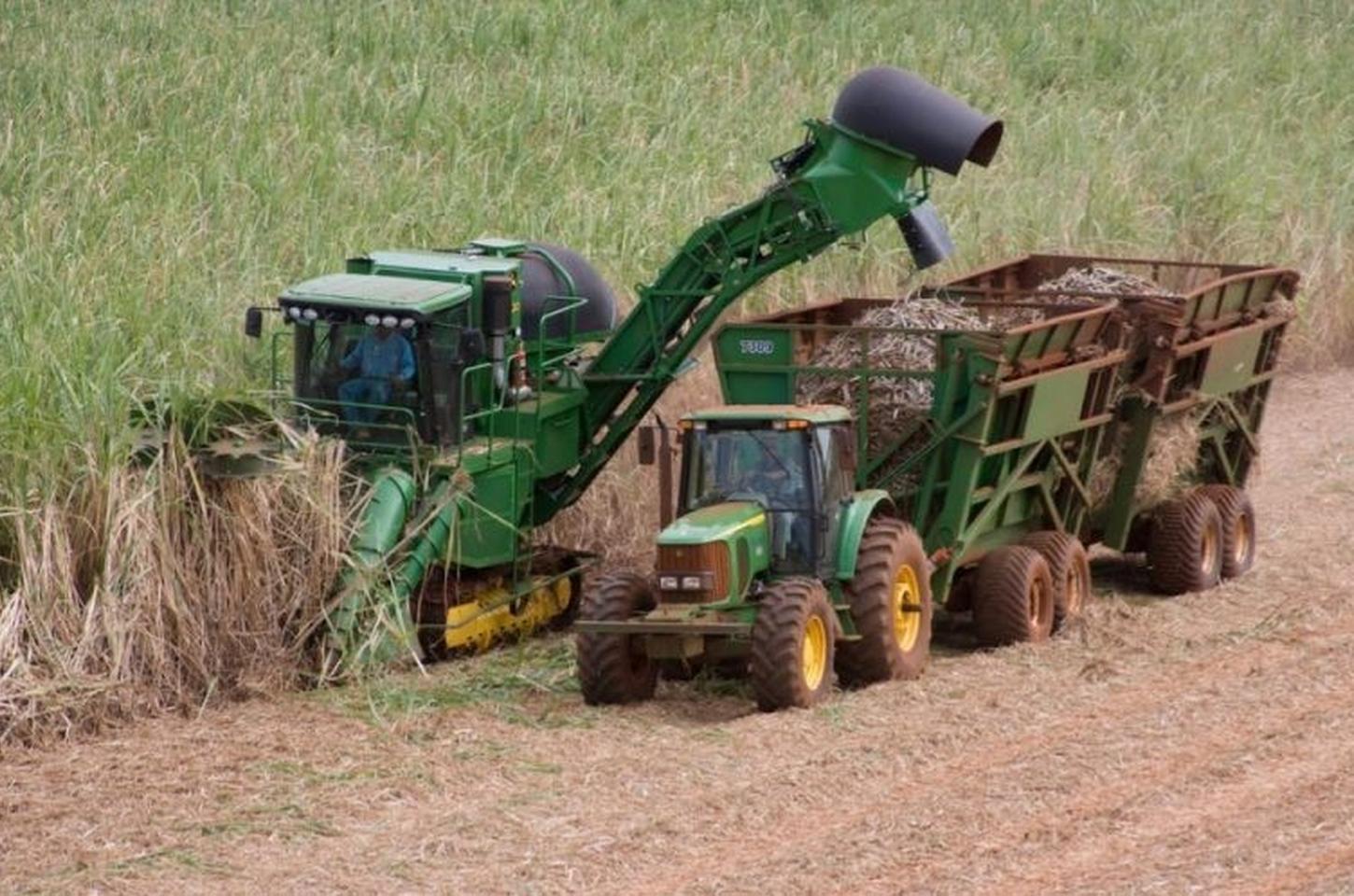Agronegócio paulista tem superávit de US$ 6,45 bilhões no quadrimestre
