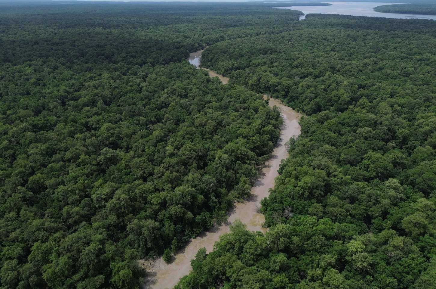 Amazônia Legal tem quase metade de sua área sob proteção, revela IBGE