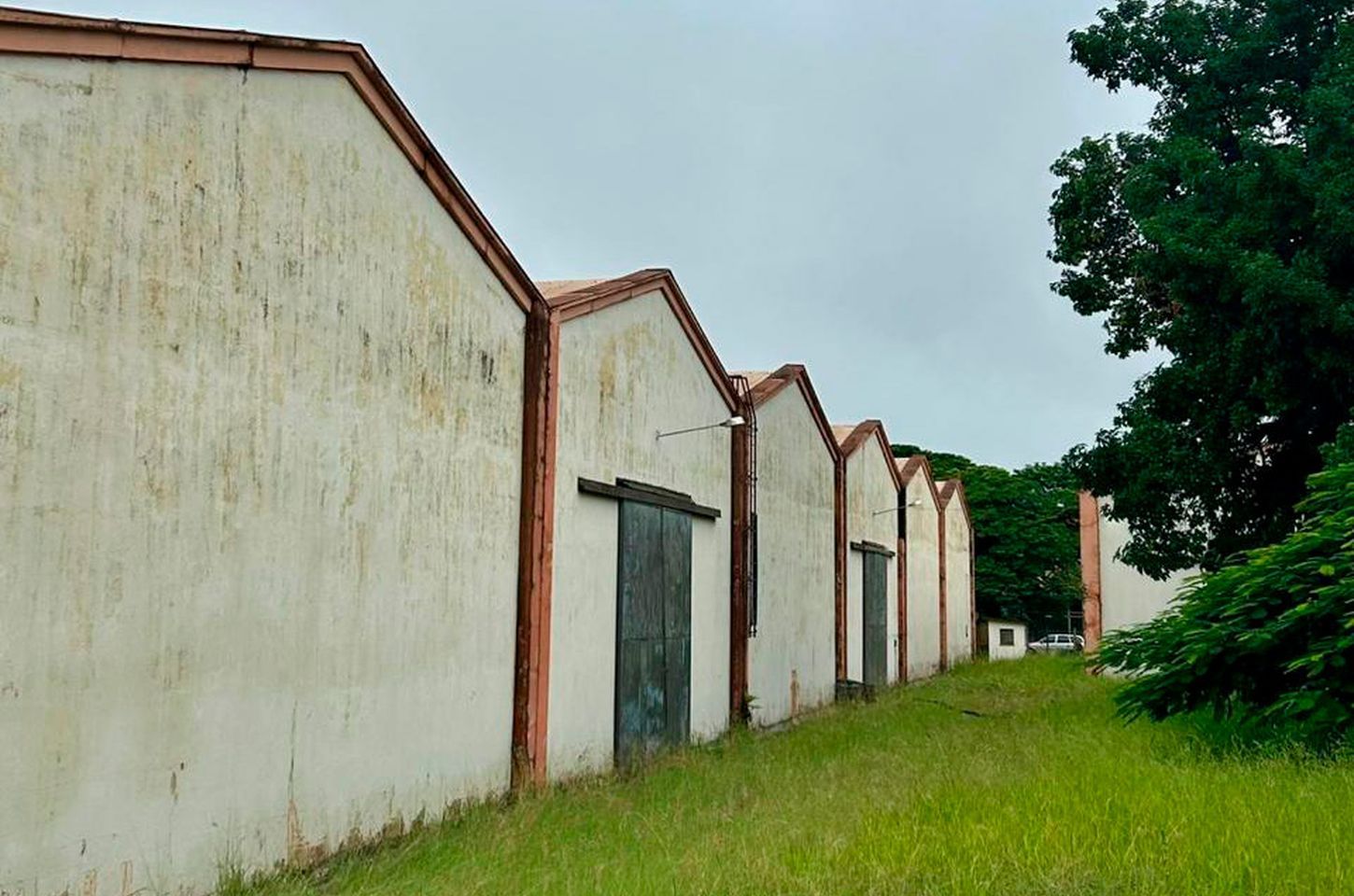 Antigo galpão do café em Londrina vira farmácia especial do SUS