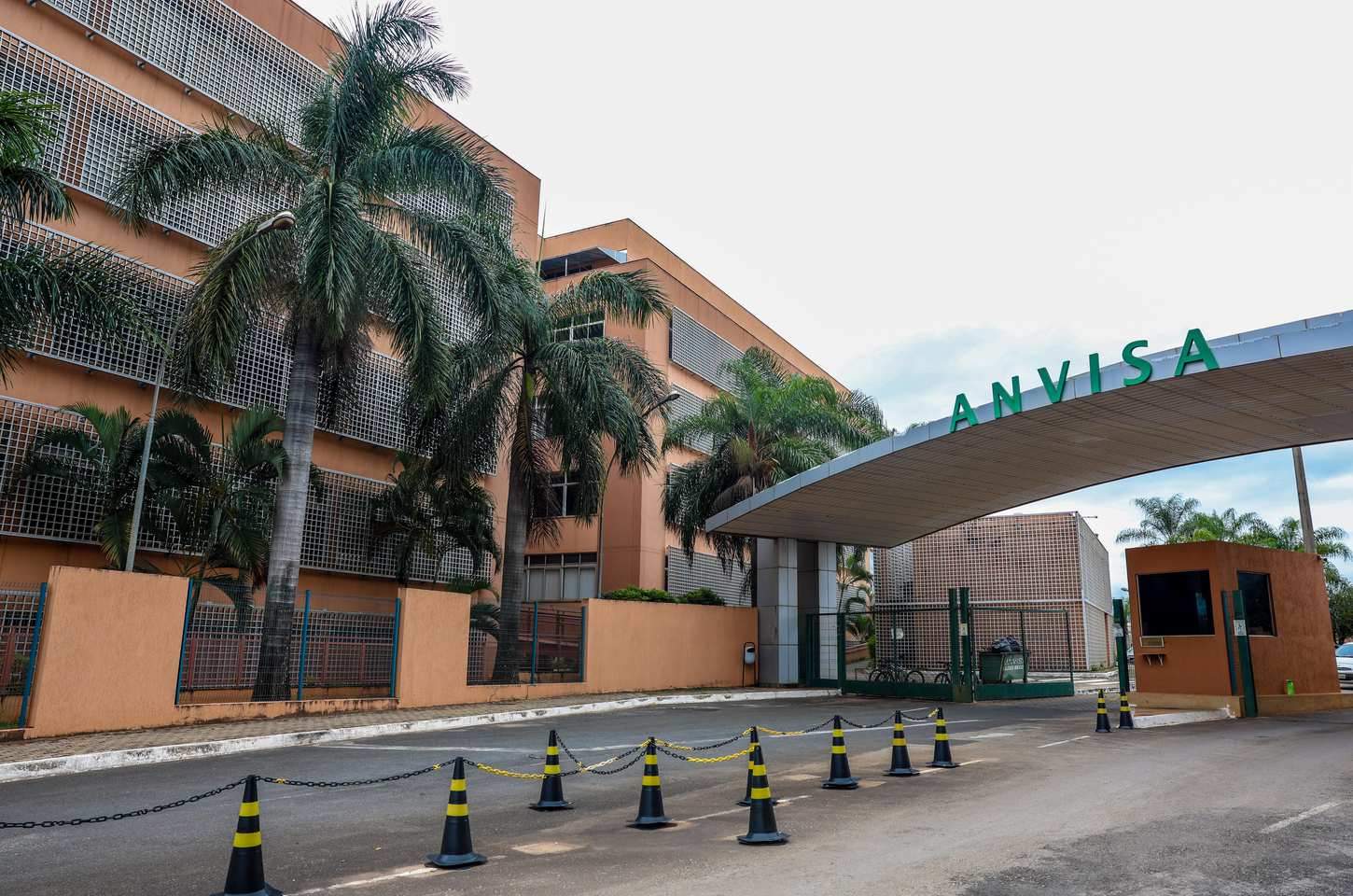 Anvisa atualiza regras para suplementos com cúrcuma após alerta de risco hepático