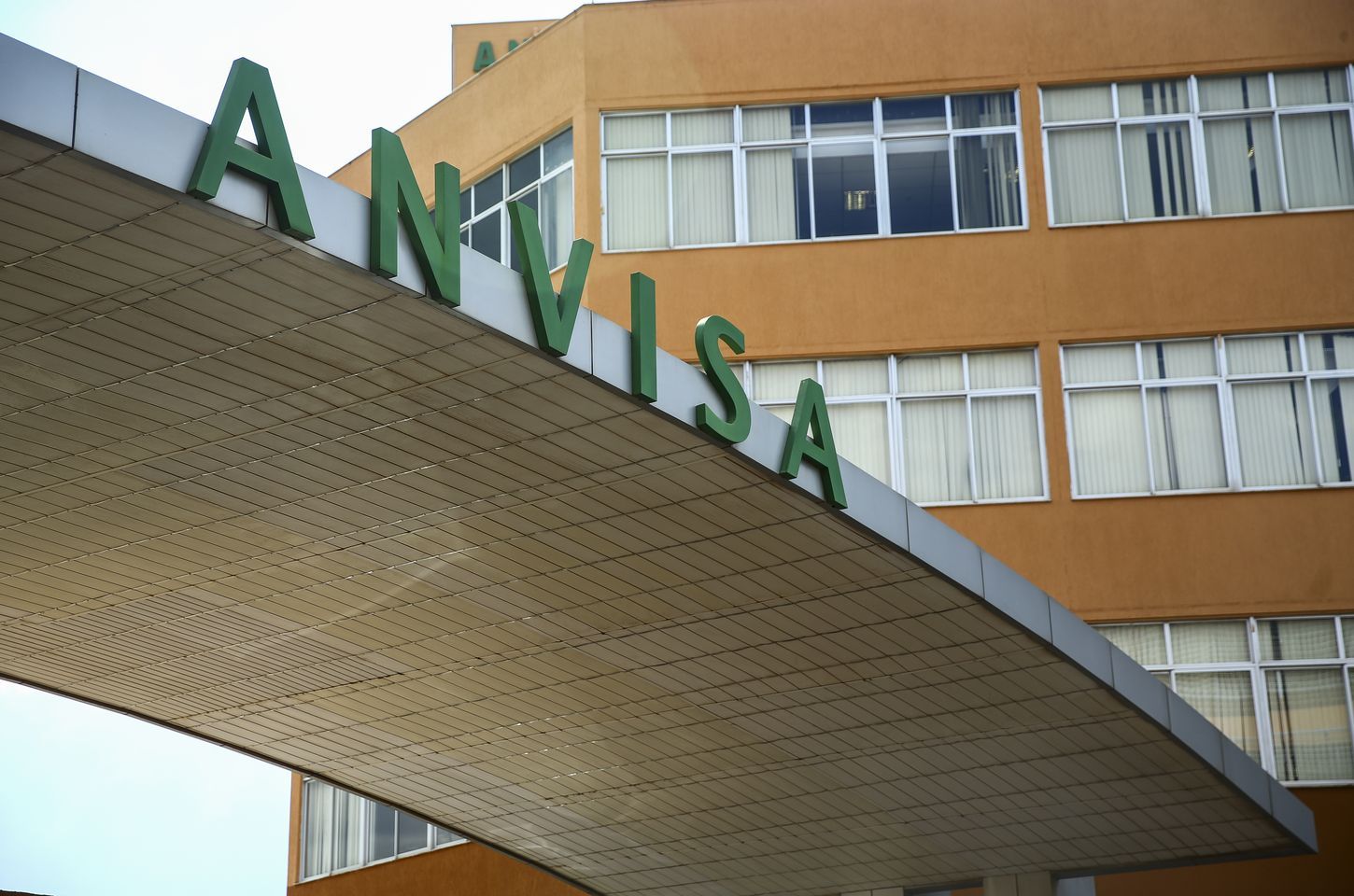 Anvisa recolhe chá de camomila e pomada para tatuagem por irregularidades