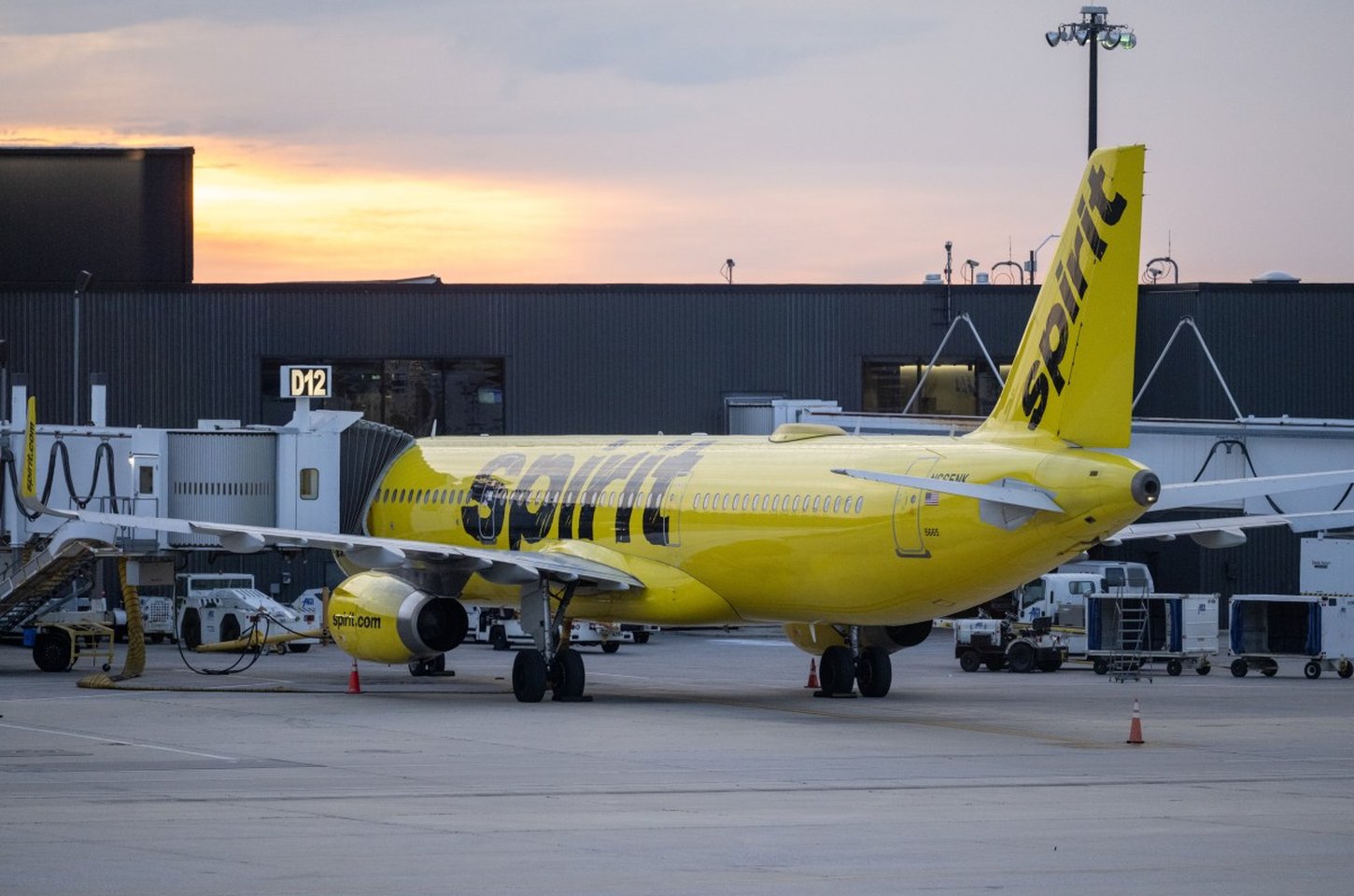 Apoiadores arrecadam US$ 23 mi para comprar Spirit Airlines em brincadeira de TikTok