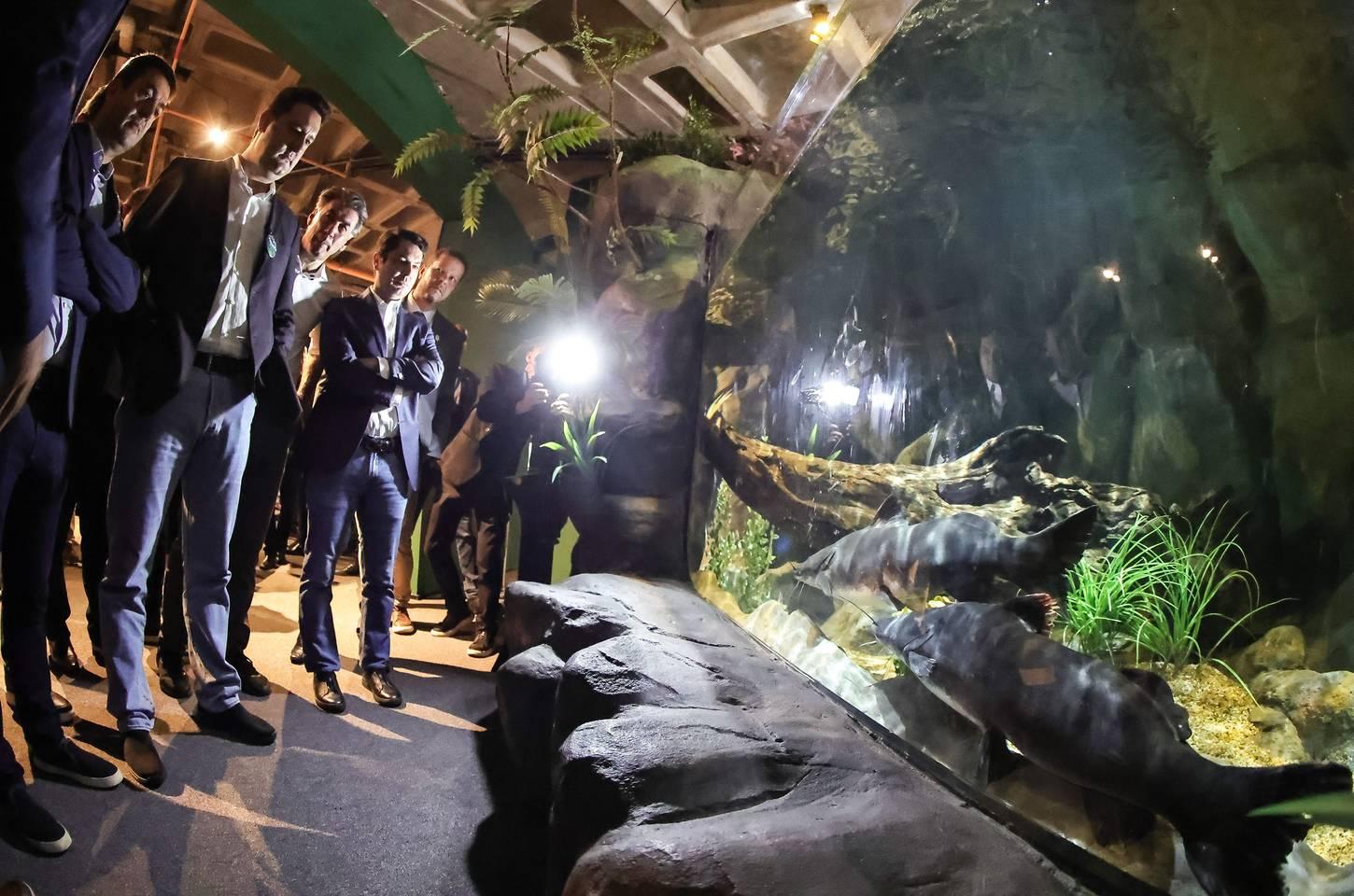 AquaFoz: novo aquário impulsiona turismo e conservação em Foz do Iguaçu