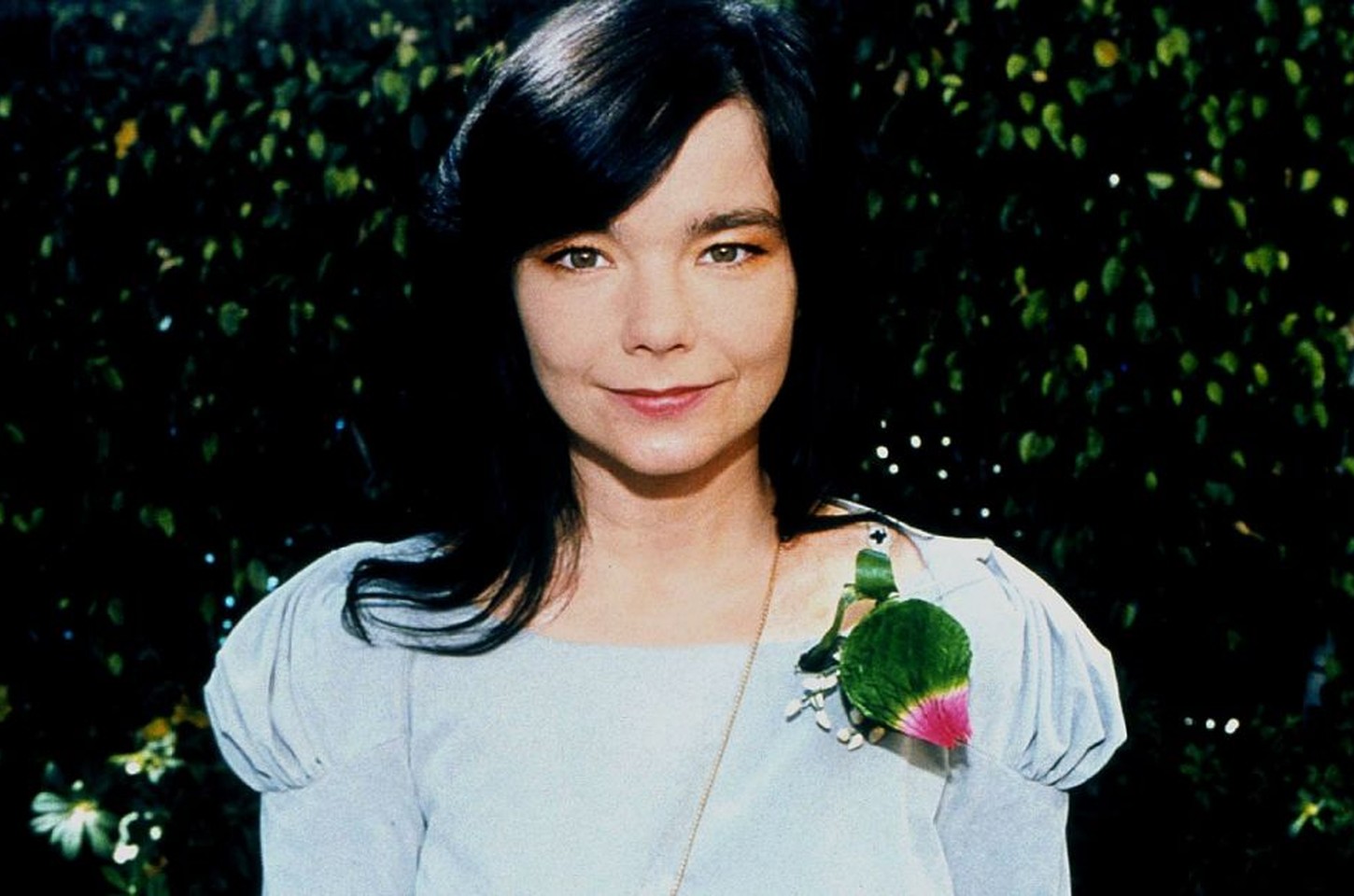 Björk se solidariza com a Groenlândia após ameaças dos EUA
