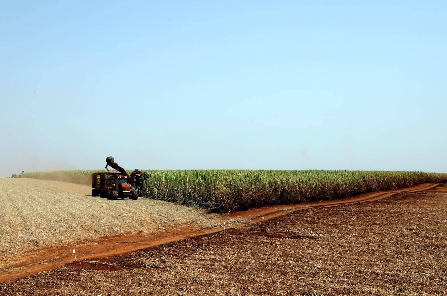 Brasil deve fechar 2025 com safra recorde de 346 milhões de toneladas