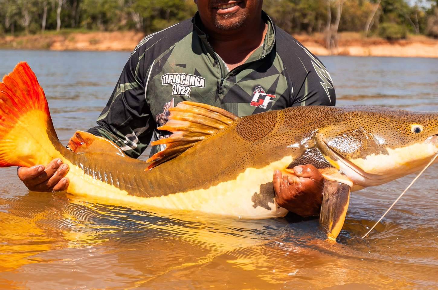 Brasil lidera proteção de bagres amazônicos e ariranha ganha status internacional