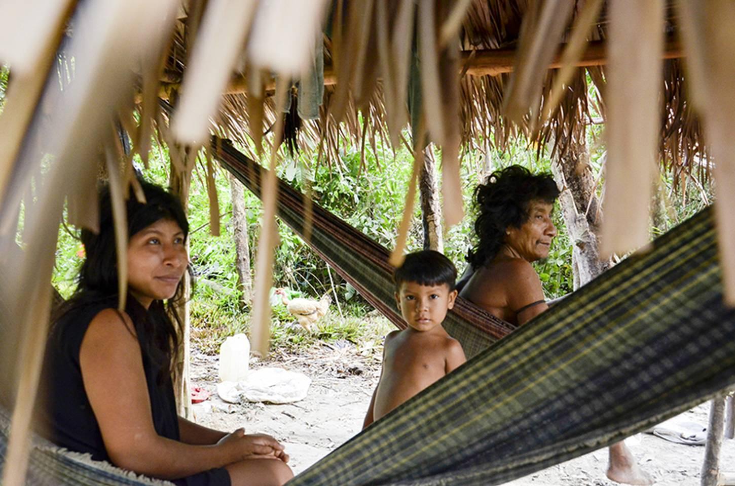 Brasil tem 115 povos indígenas isolados, mas Estado só confirma 29