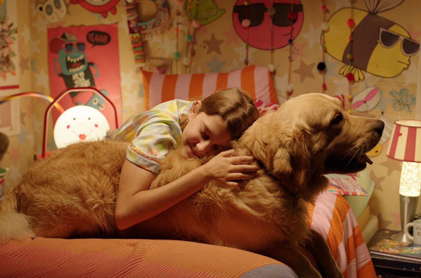 Brasília International Film Festival anuncia programação gratuita para 2026