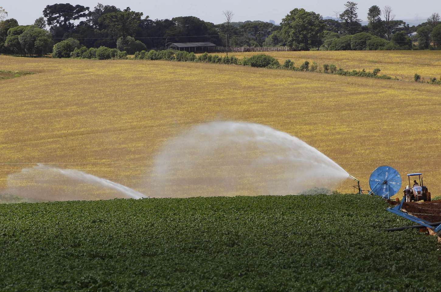 BRDE investe R$ 133,4 milhões no agro paranaense em 2025