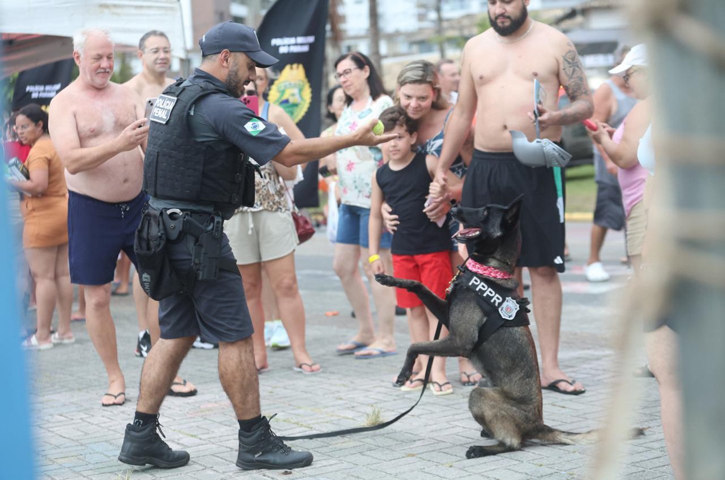 Cães da Polícia Penal reforçam segurança no litoral do Paraná