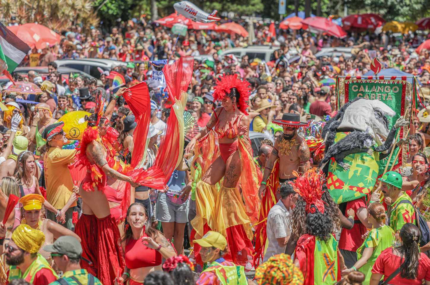 Calango gigante leva carnaval de vizinhança às ruas de Brasília