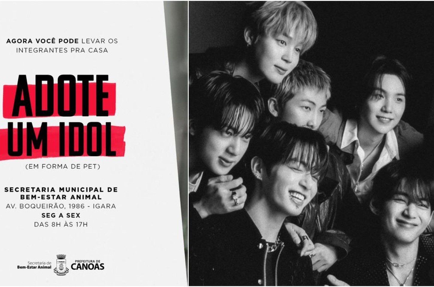 Canoas usa BTS para incentivar adoção de animais e viraliza nas redes