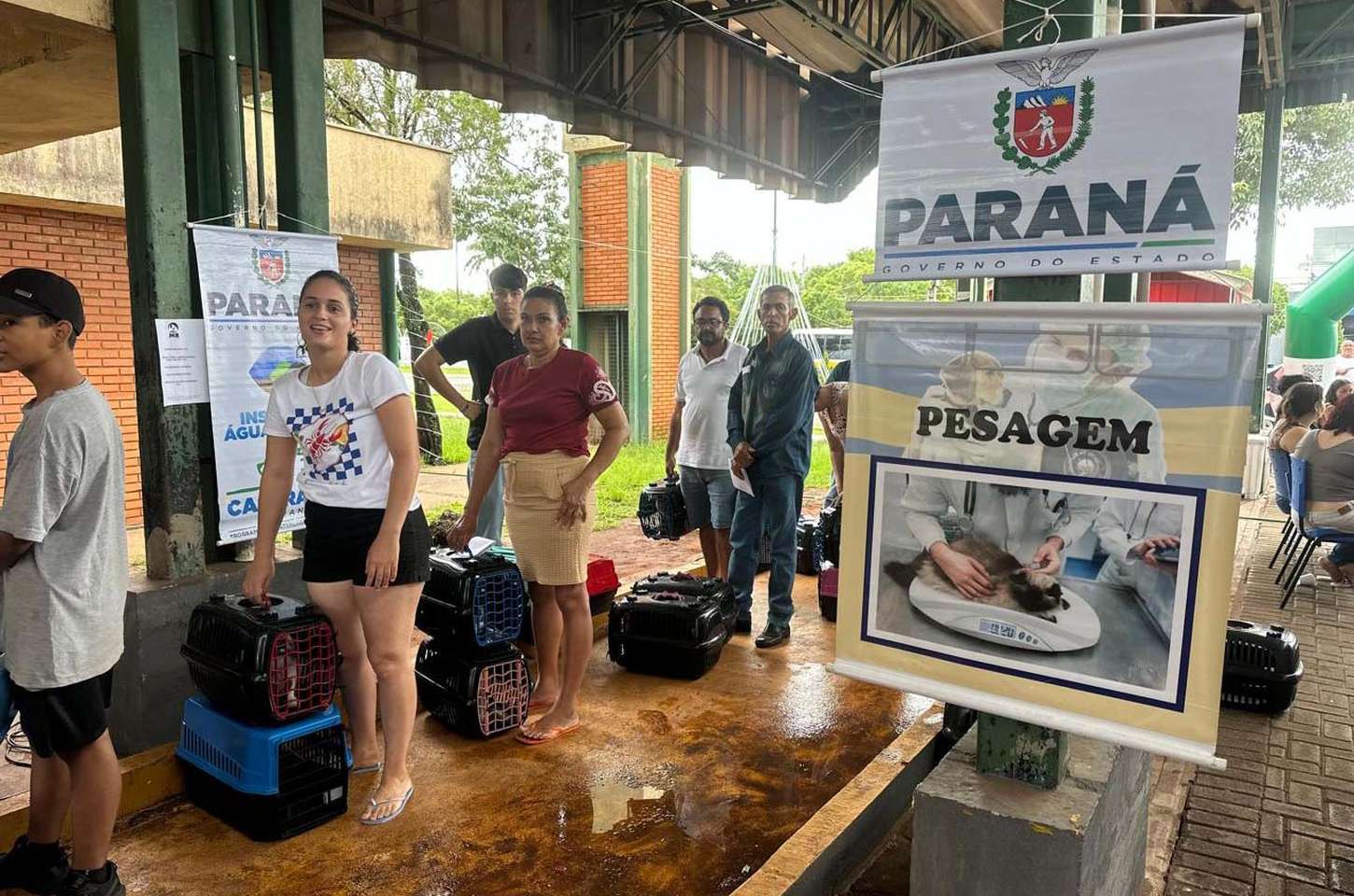 CastraPet Paraná reforça cuidados pré e pós-castração para tutores
