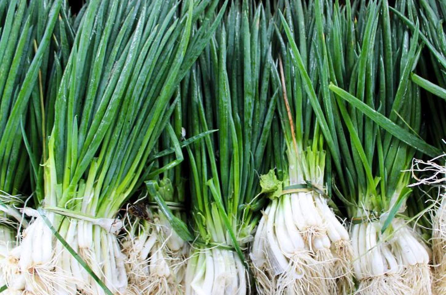 Cebolinha tem queda de preço e destaque de São Roque e Ibiúna na Ceagesp