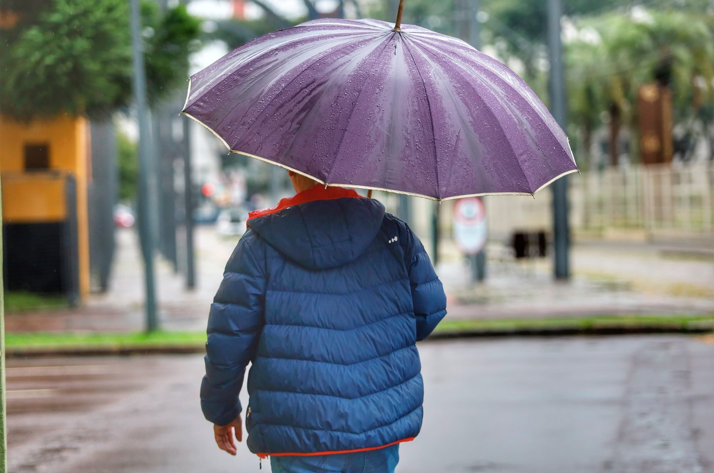 Chuva persiste no Paraná até segunda-feira (18) com queda de temperatura na sequência