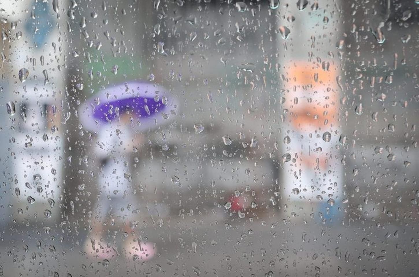 Chuvas de verão: como se proteger das tempestades intensas