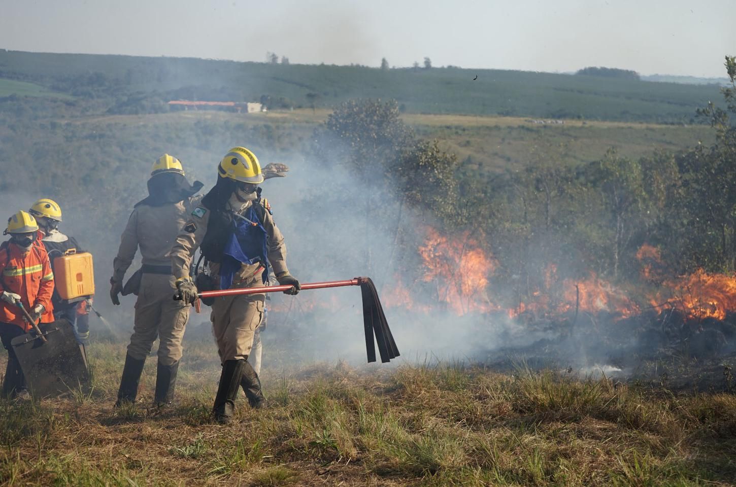Chuvas e conscientização reduzem incêndios florestais no Paraná em 41,65%