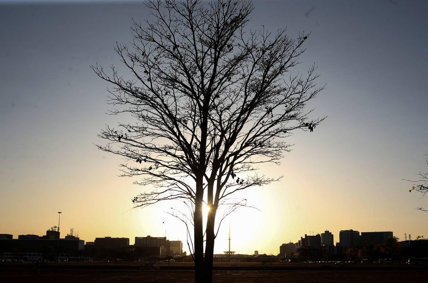 Cientista alerta para urgência climática na COP30 e defende comunicação acessível