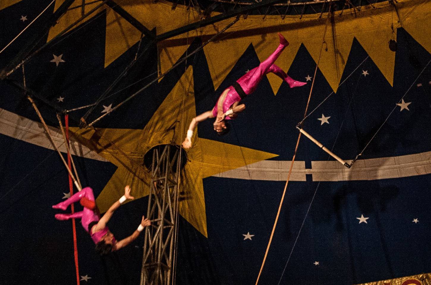 Circo de tradição familiar é reconhecido como patrimônio cultural do Brasil