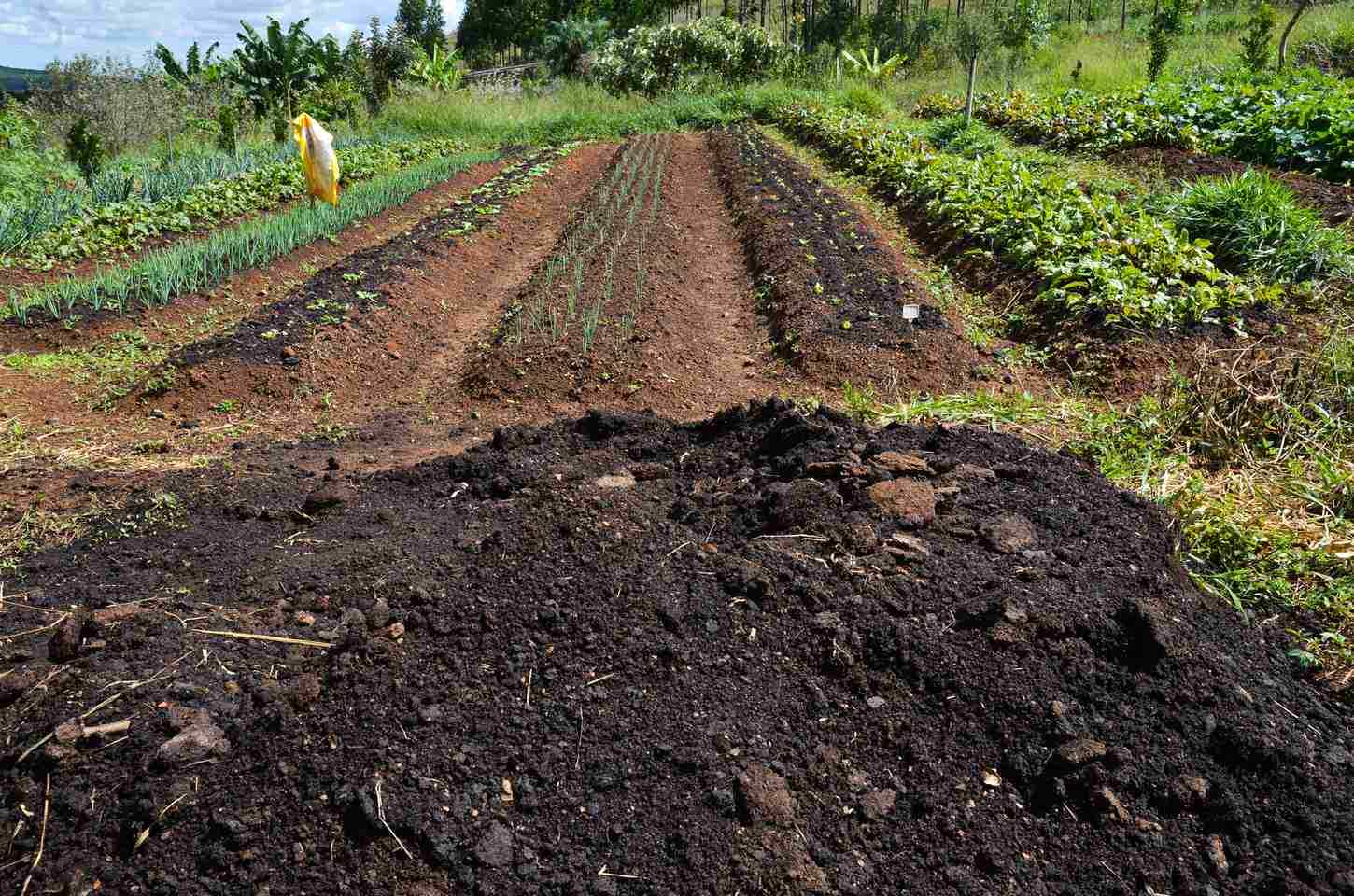 CMN aprova pacote de apoio a produtores rurais afetados pelo clima