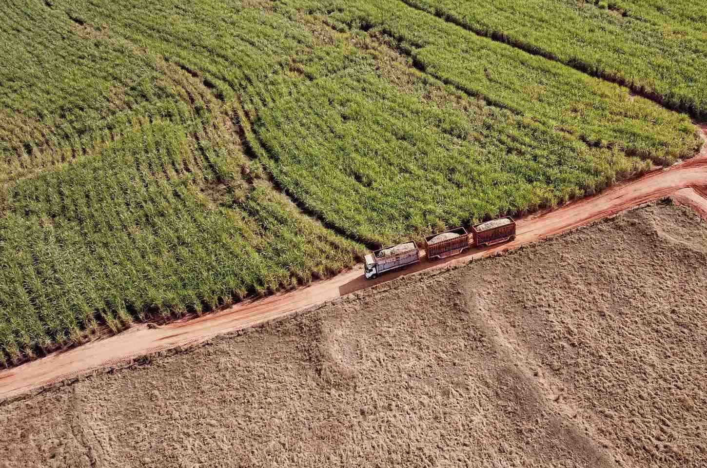 Colheita de verão avança no Paraná sob clima instável e contrastes