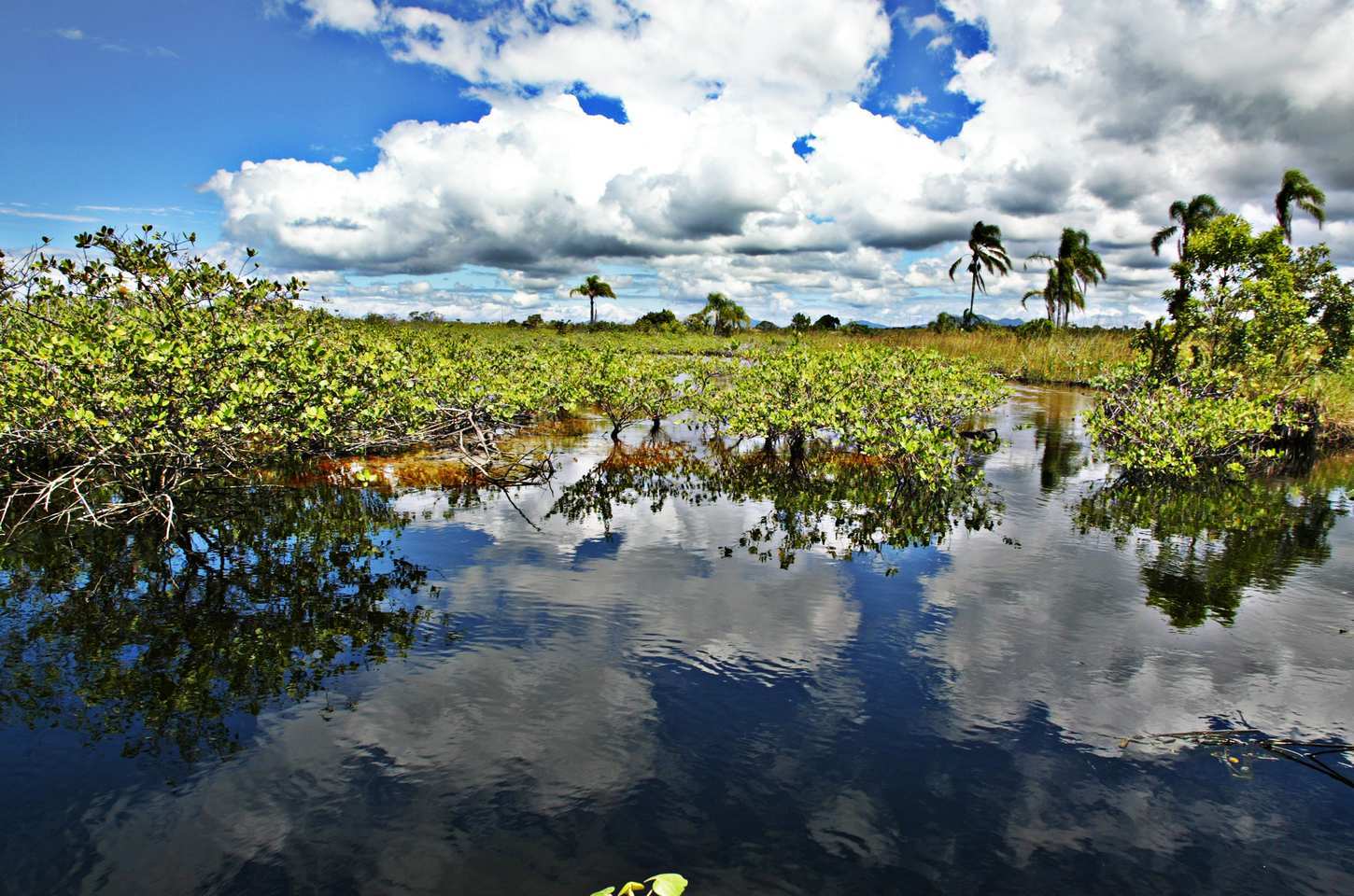Comitês de bacias hidrográficas do Paraná definem ações para 2026