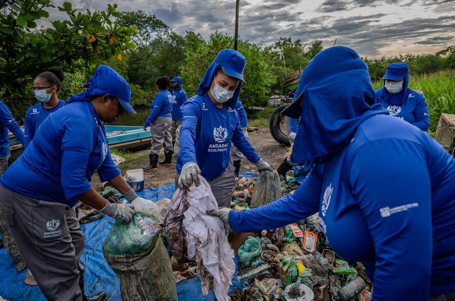 Comunidades tradicionais transformam manguezais da Baía de Guanabara