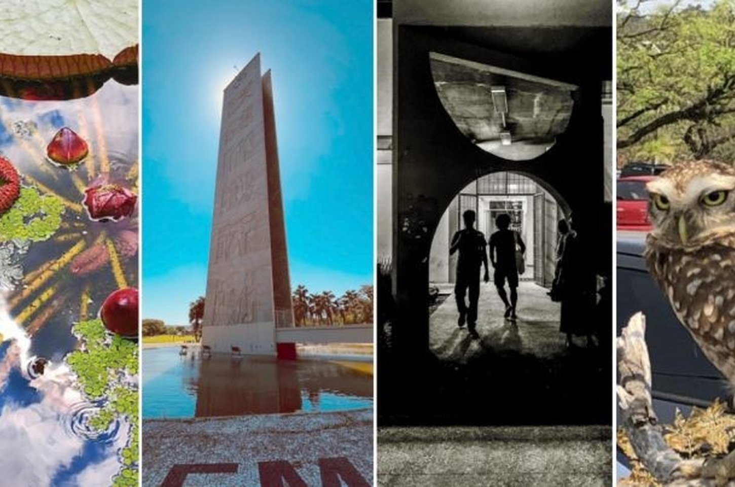 Concurso fotográfico revela a USP pelos olhos de quem a vive