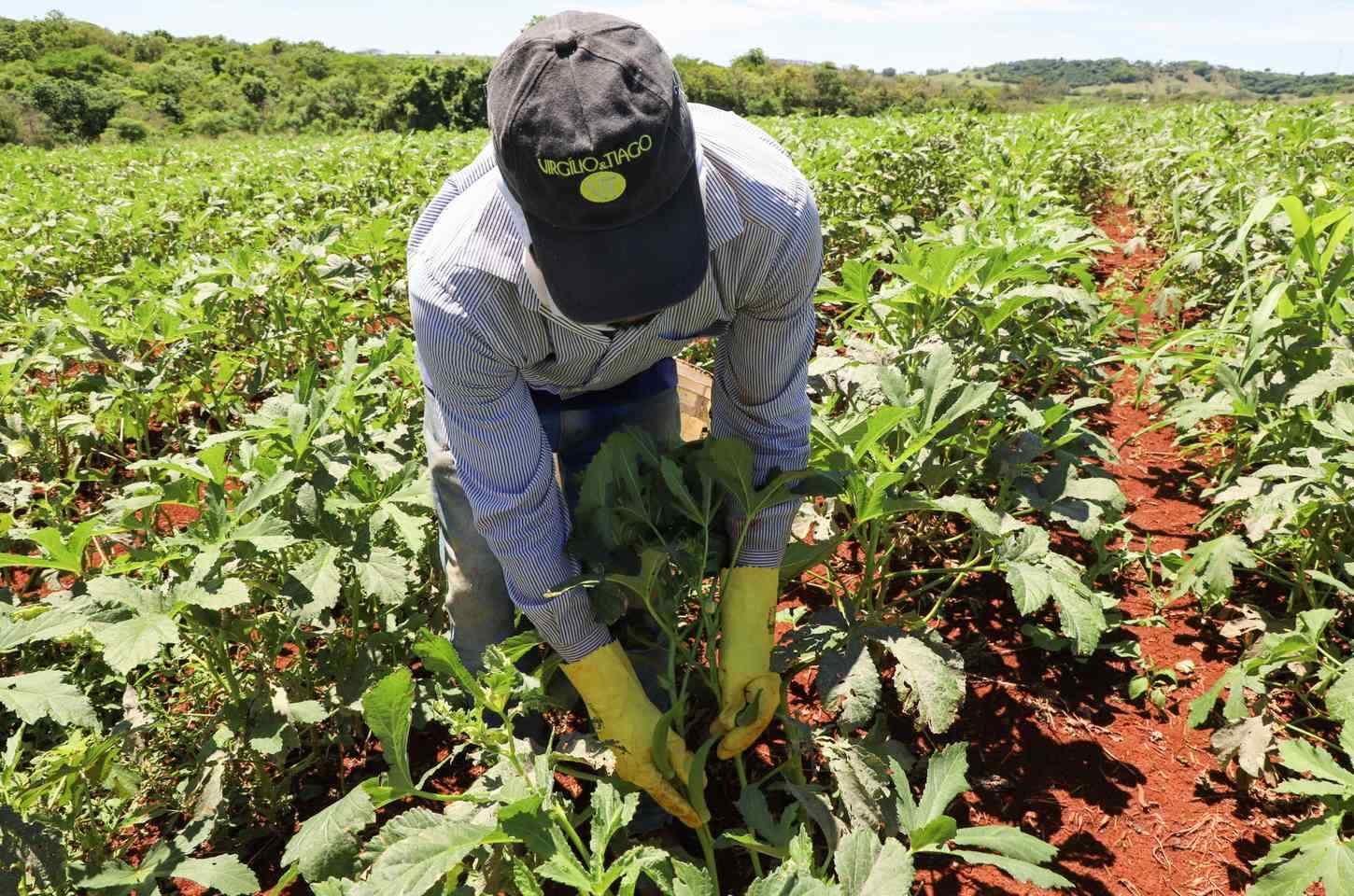 Coopera Paraná atinge recorde com 220 projetos na etapa de análise técnica