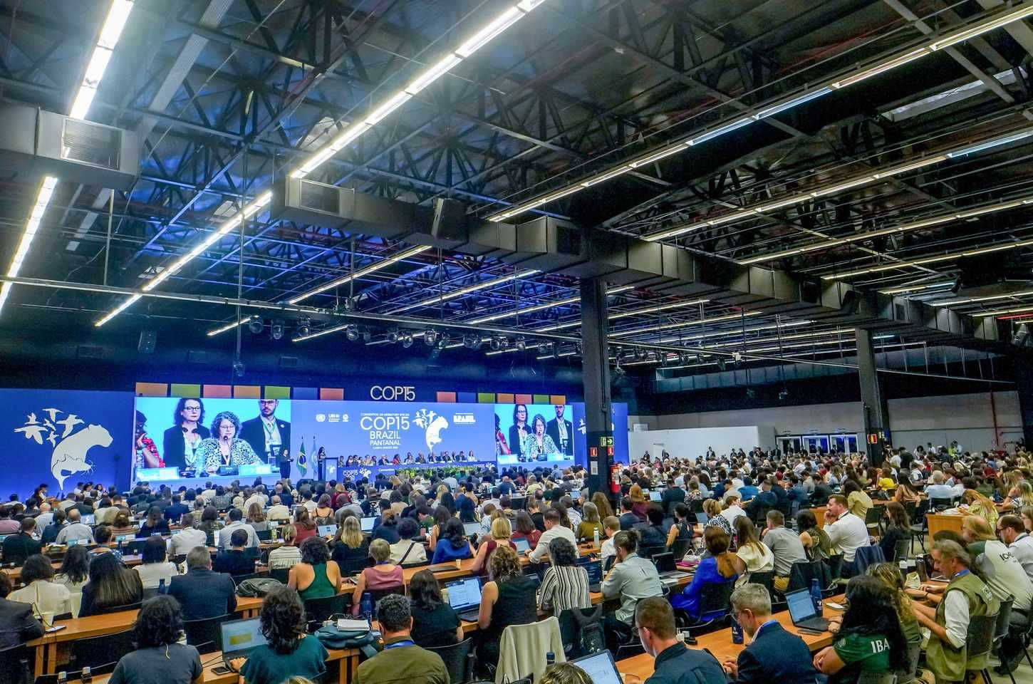 COP15 da biodiversidade começa em Campo Grande com diversidade e esperança