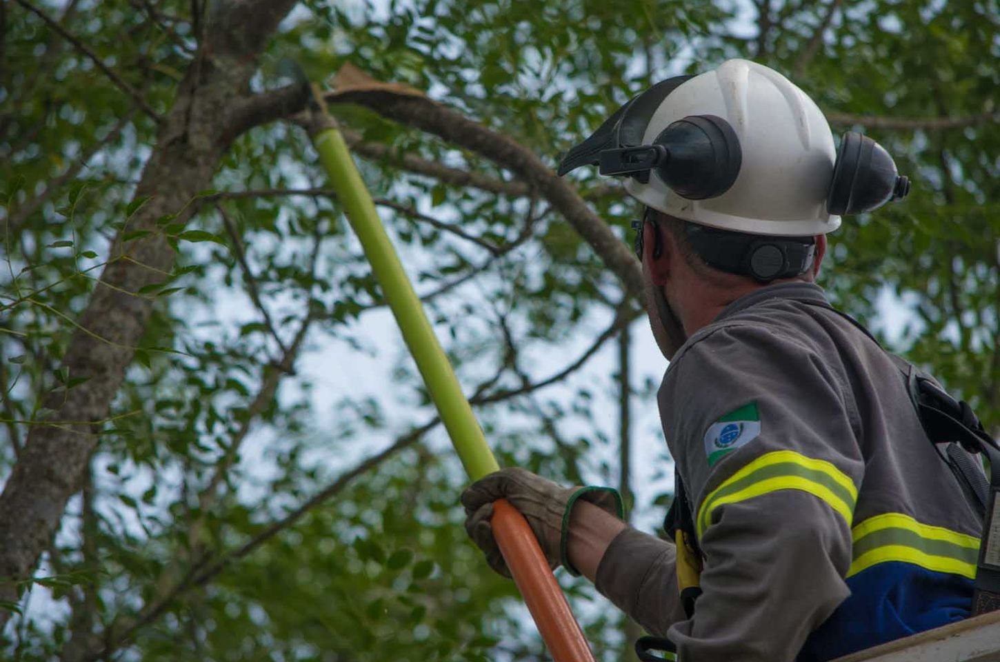 Copel realiza mutirão de poda de 1,7 mil árvores em Primeiro de Maio