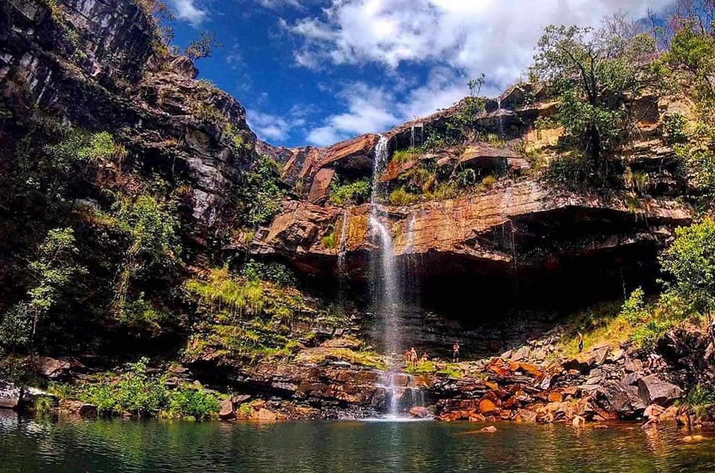 Criança de 8 anos atacada por onça-parda na Chapada dos Veadeiros passa por cirurgia e está estável