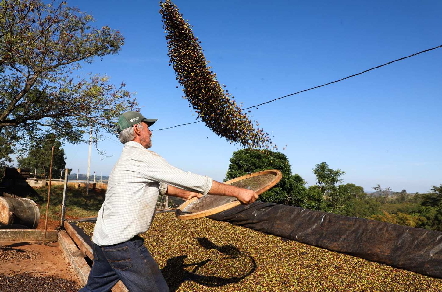 Custos de produção definem desempenho do agro paranaense