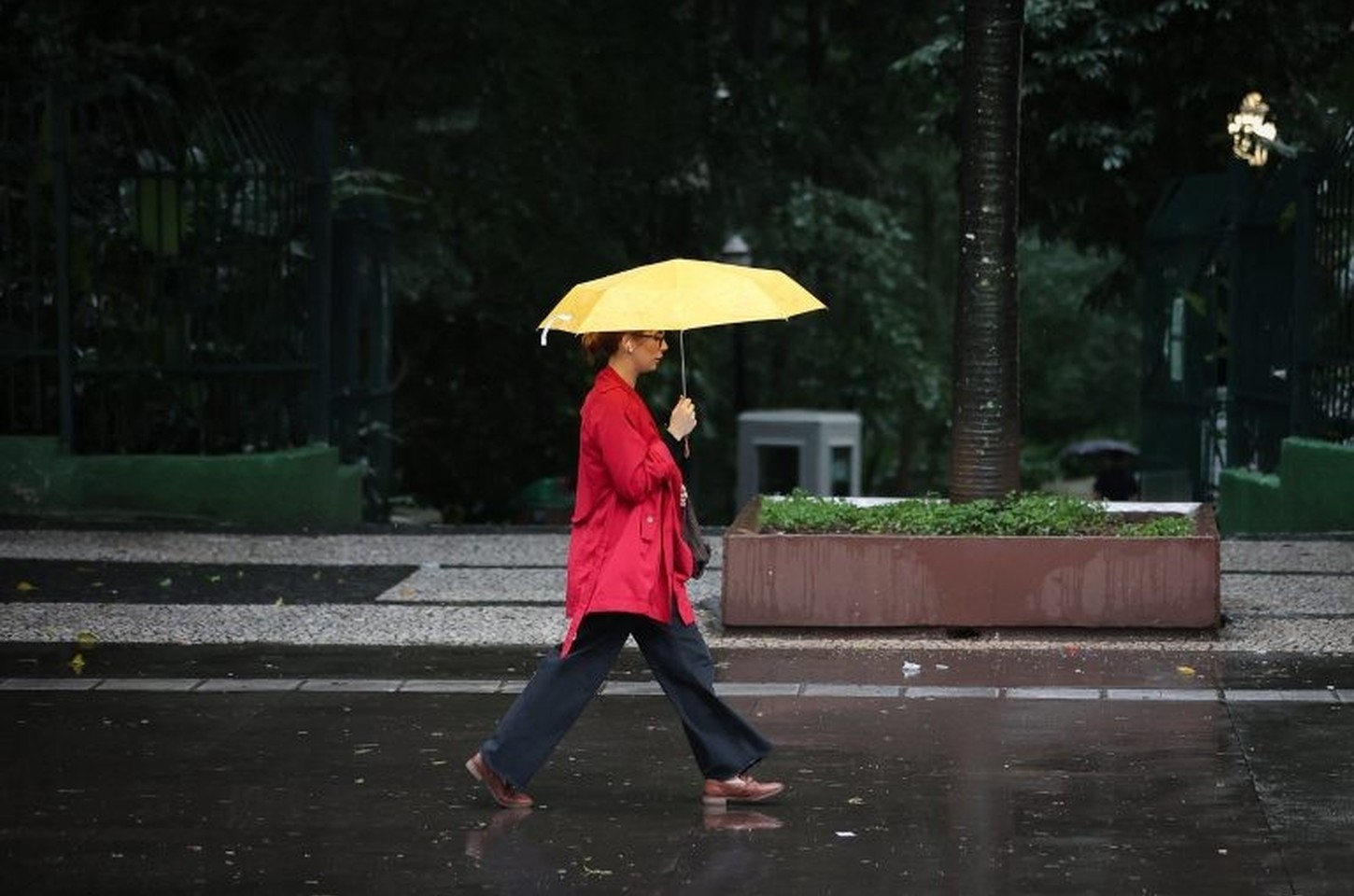 Defesa Civil alerta para chuvas intensas e riscos em SP