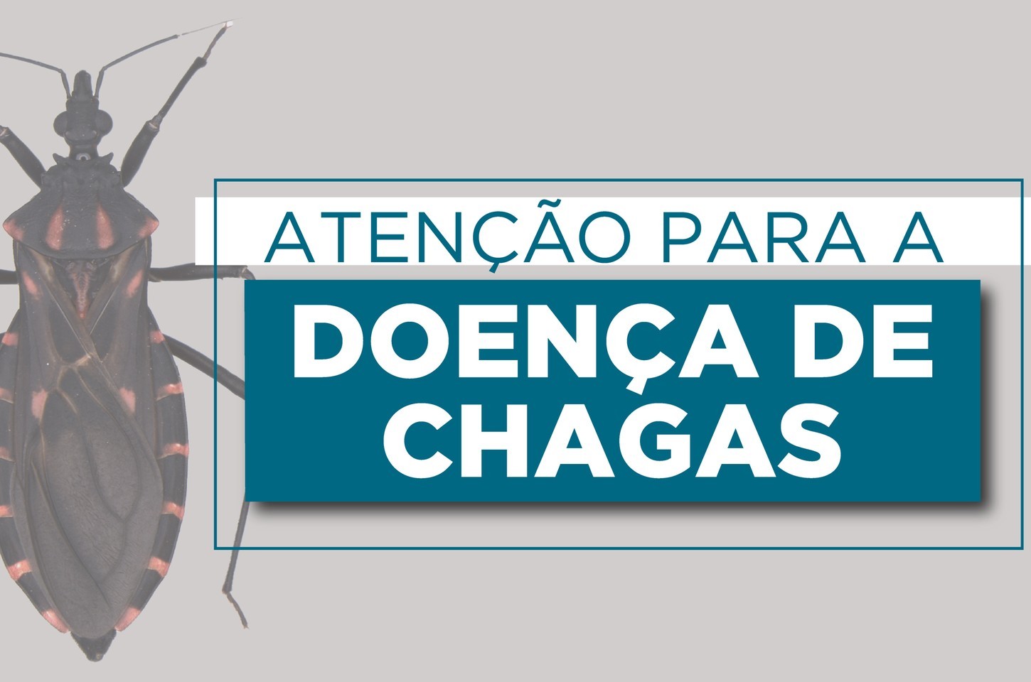 Doença de Chagas: Paraná reforça vigilância e cuidados com notificação obrigatória