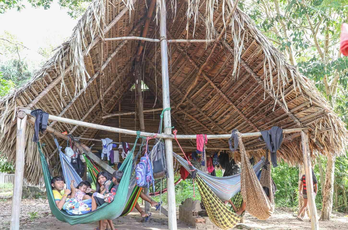 Dois anos após desintrusão, povo Parakanã retoma terra indígena no Pará