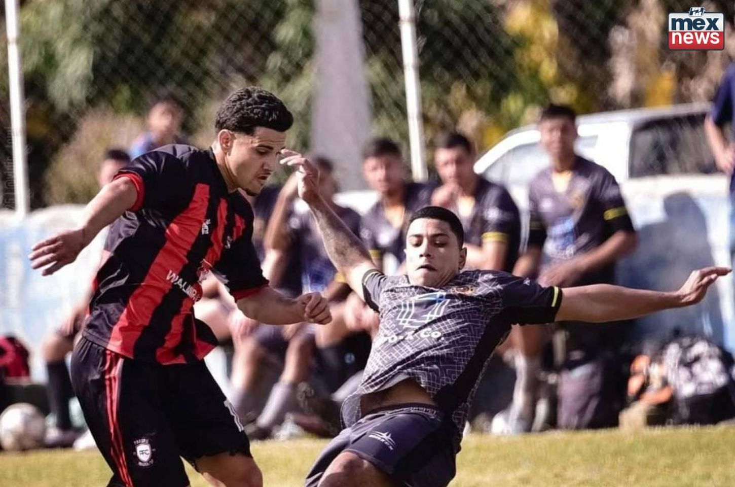 Dois titãs em campo: final da Copa Paruru promete emoção