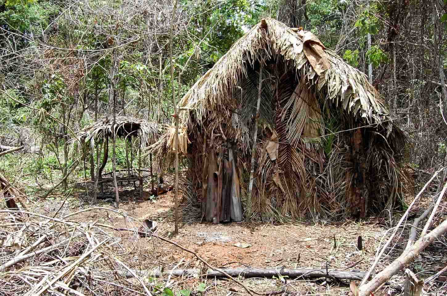 DPU conclui que consulta prévia não se aplica a povos indígenas isolados