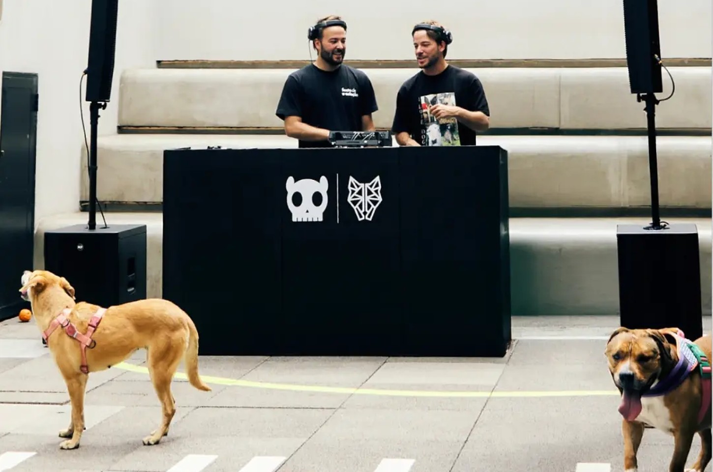 Dubdogz usa música eletrônica para incentivar adoção de cães em SP