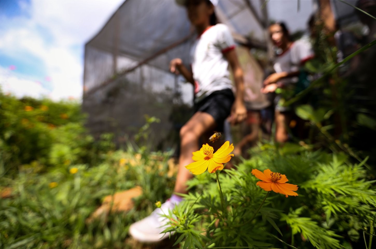 Educação ambiental transforma vidas e constrói futuro sustentável no Brasil