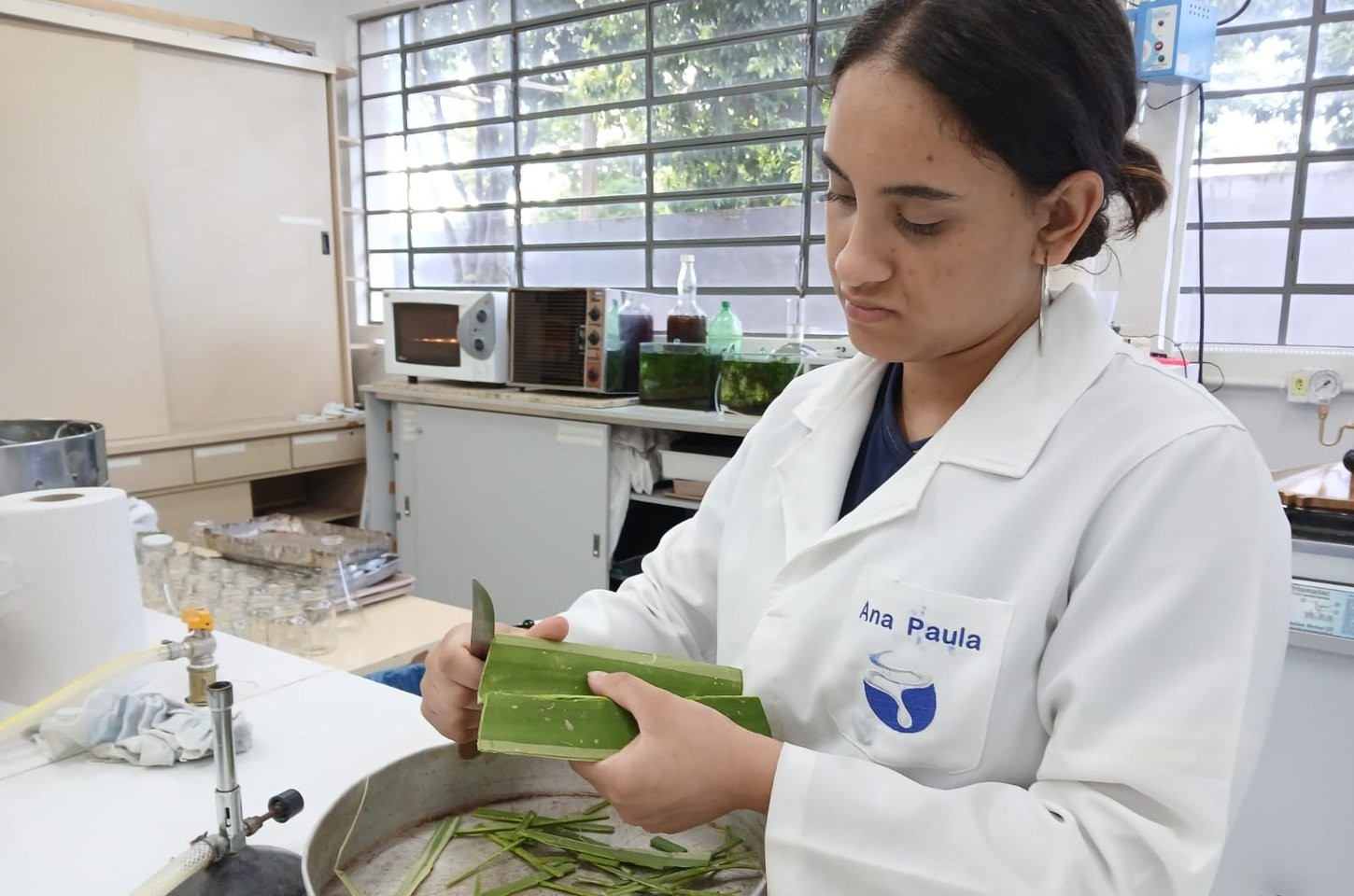 Escola pública do Paraná tem dois projetos finalistas na Febrace 2025