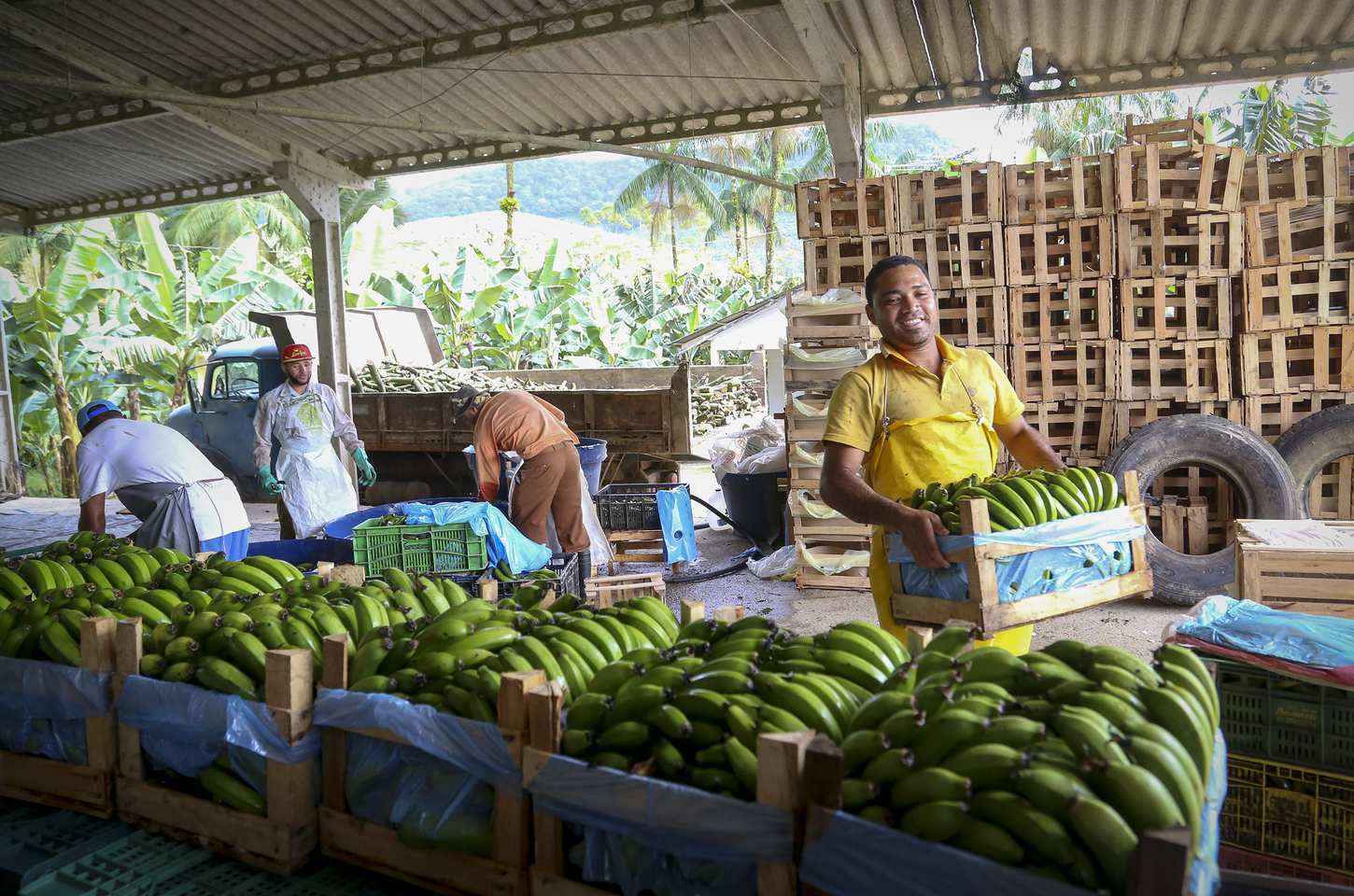 Estrada rural de Guaratuba será pavimentada para escoar produção agrícola