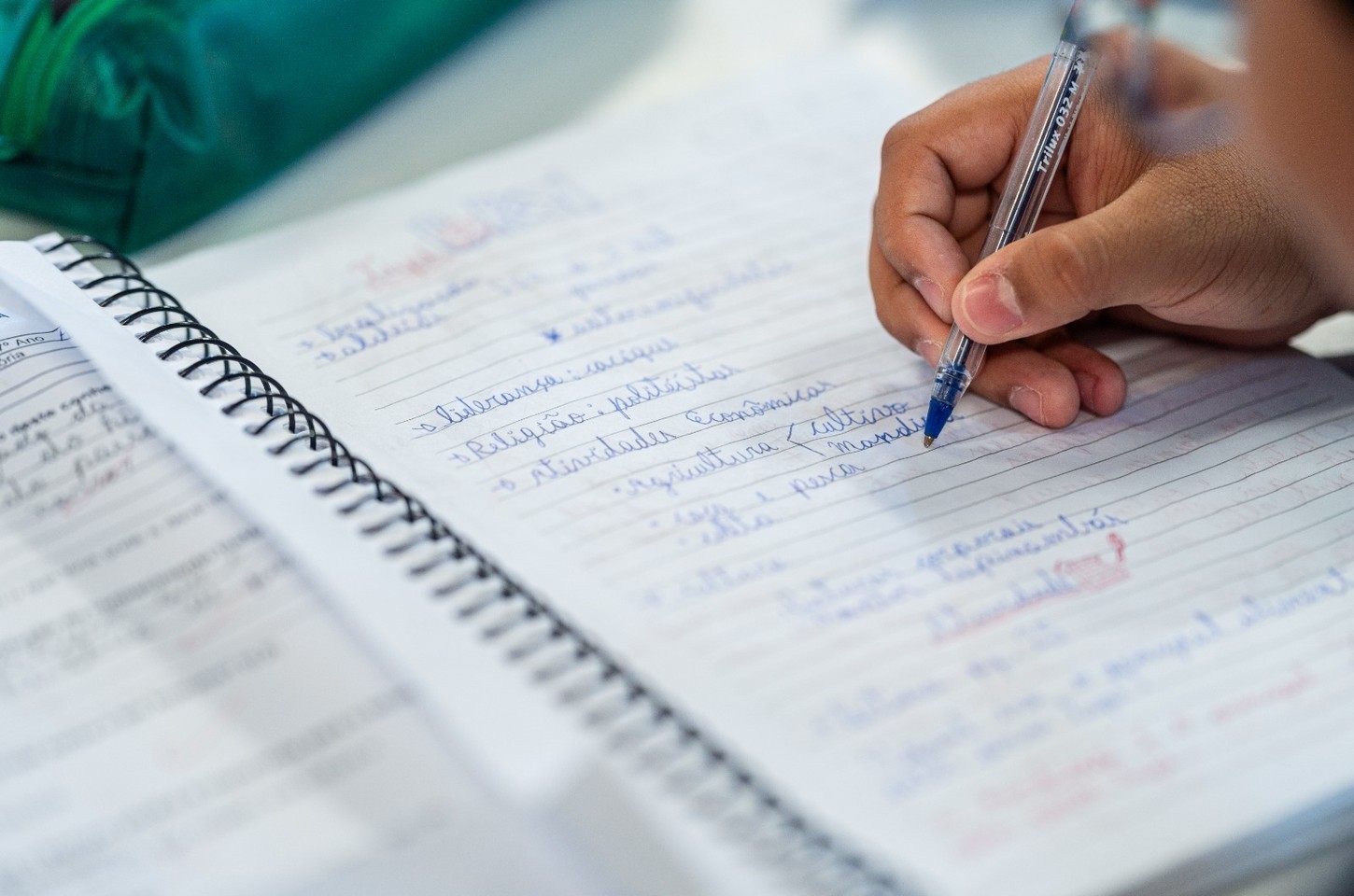 Estudantes do Paraná conquistam bolsas integrais na FIAP