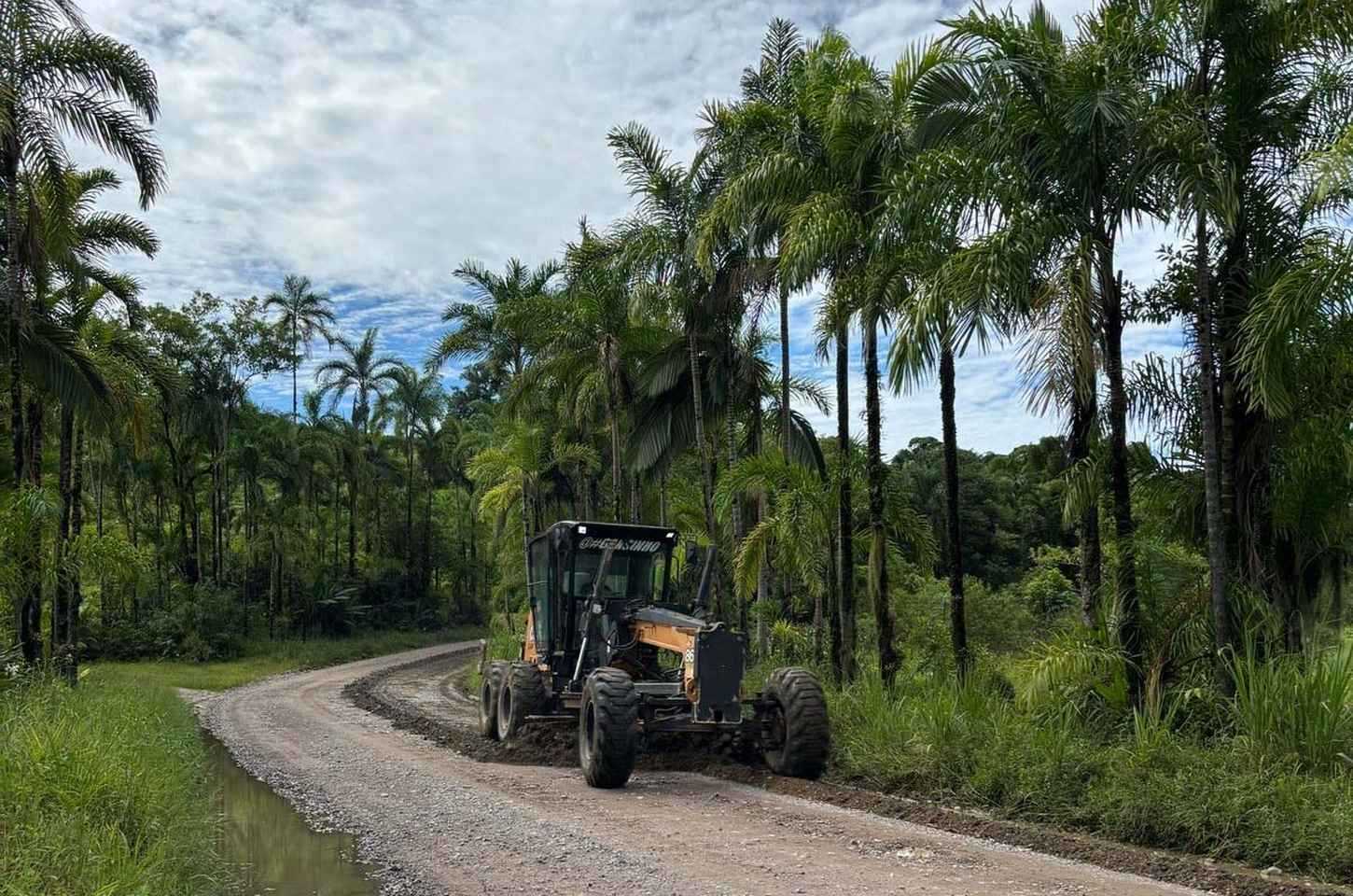 Estudo ambiental e projeto de pavimentação da PR-405 são licitados no Paraná